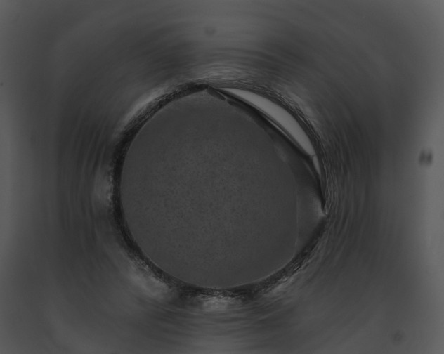 X0000091690400200708301544