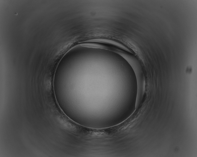 X0000091690401200708301544