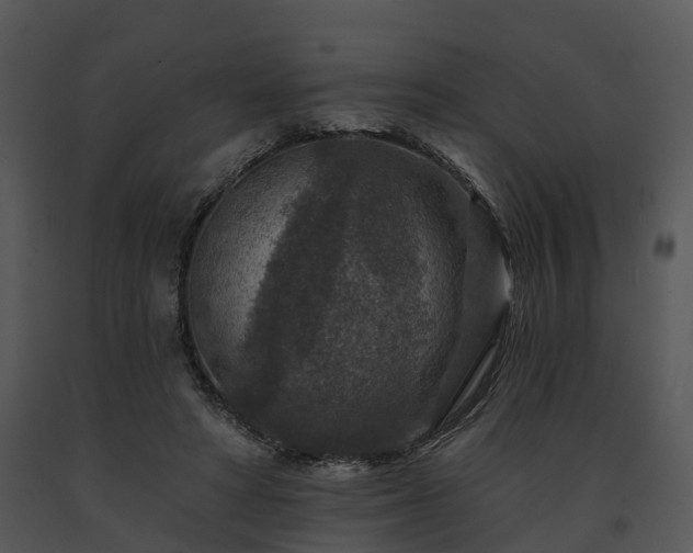 X0000091690402200708301544