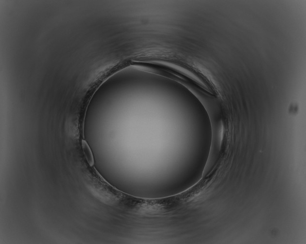 X0000091690403200708301544