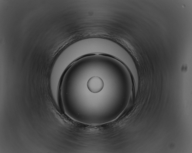 X0000091690405200708301544