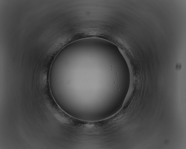 X0000091690406200708301544