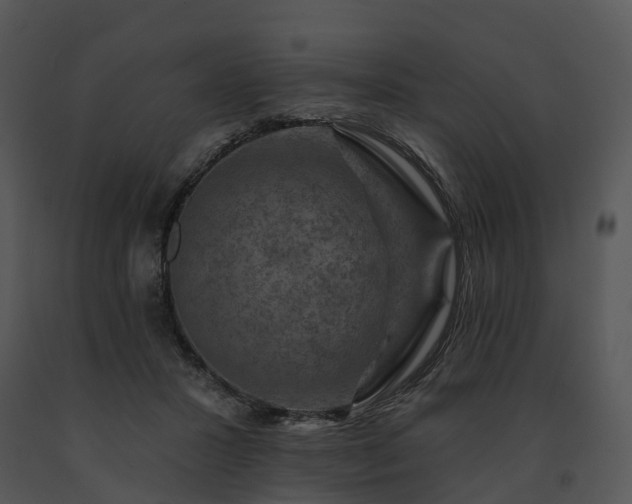 X0000091690407200708301544