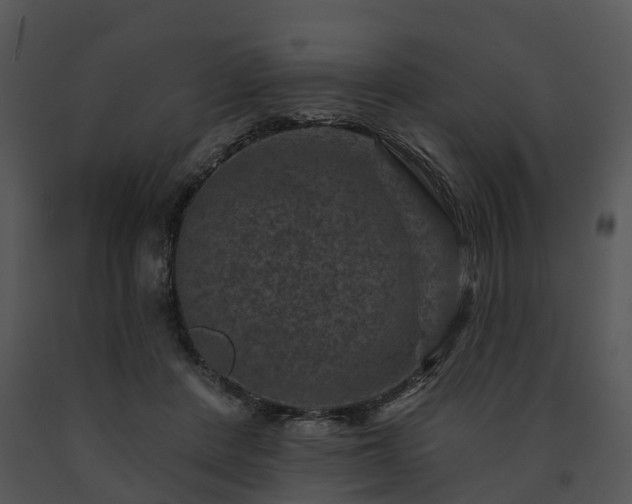 X0000091690408200708301544