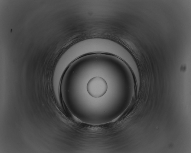 X0000091690409200708301544