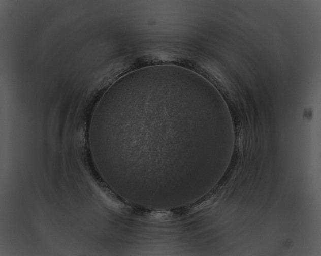 X0000091690410200708301544