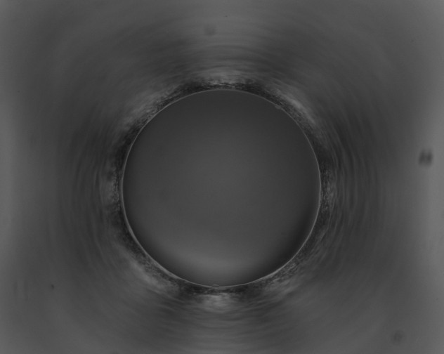 X0000091690411200708301544