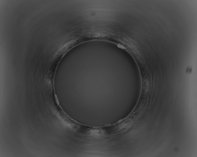 X0000091690415200708301544