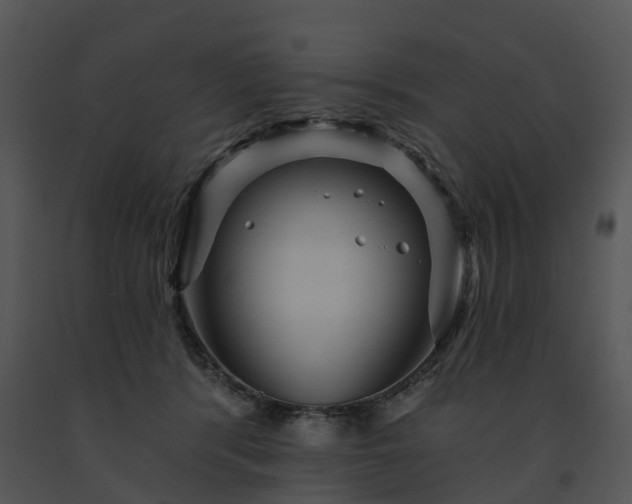 X0000091690416200708301544
