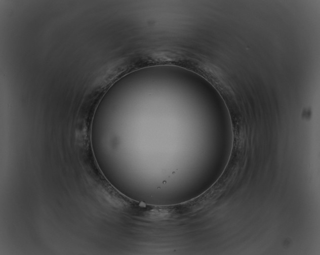 X0000091690418200708301544