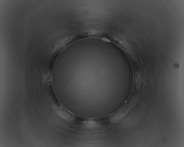 X0000091690419200708301544