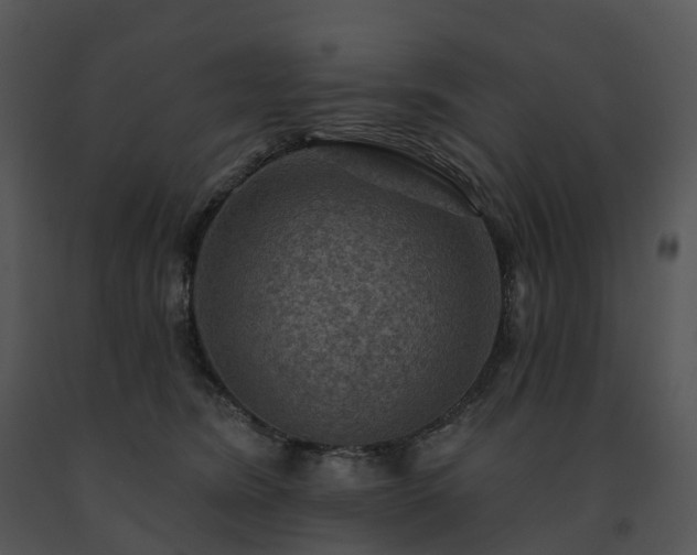 X0000091690420200708301544