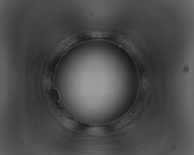 X0000091690422200708301544
