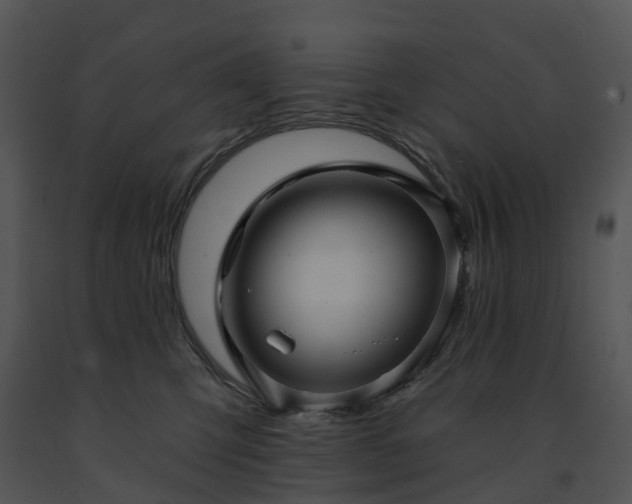X0000091690423200708301544