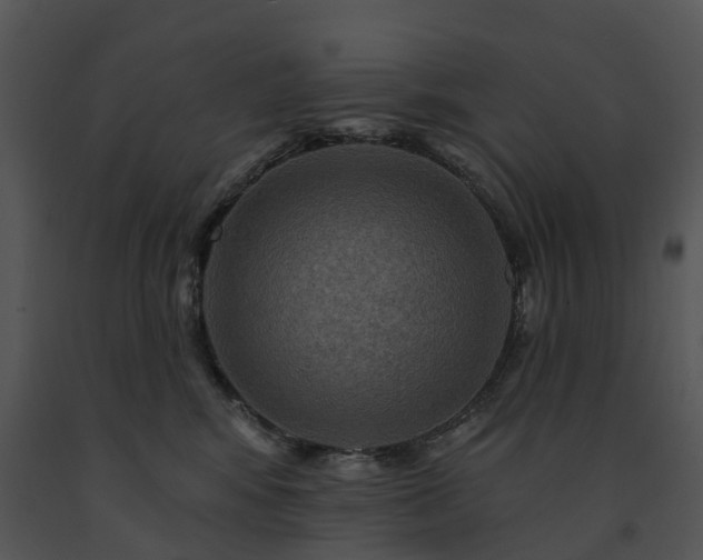 X0000091690424200708301544