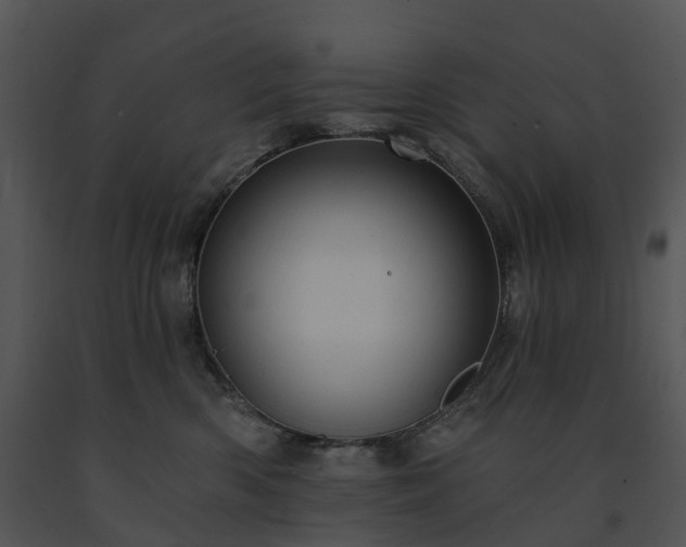 X0000091690426200708301544