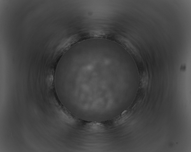 X0000091690427200708301544