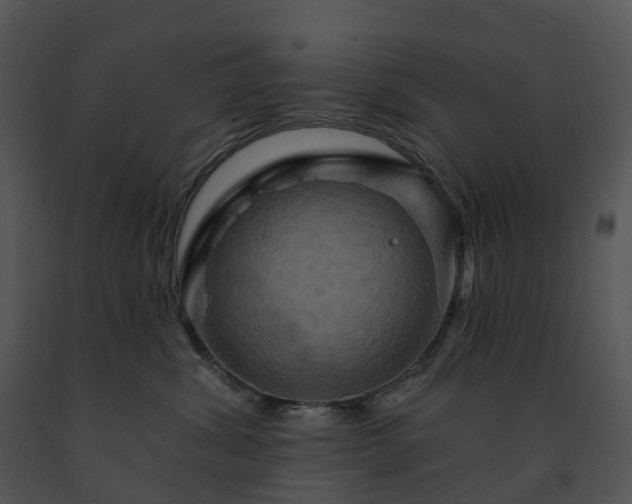 X0000091690428200708301544