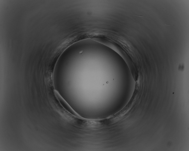 X0000091690429200708301544