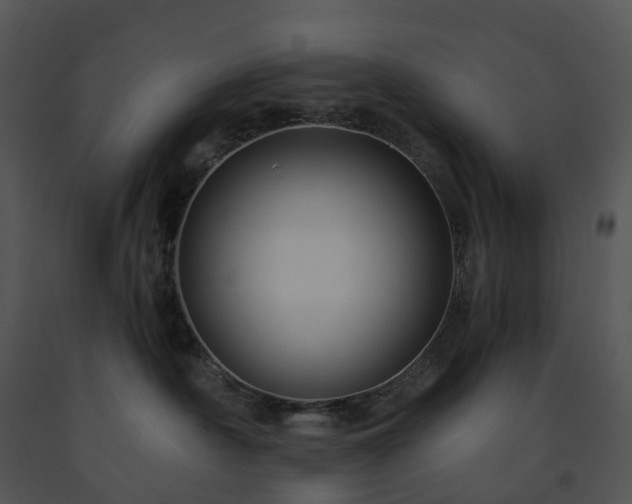 X0000091690430200708301544