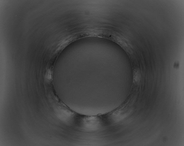 X0000091690431200708301544