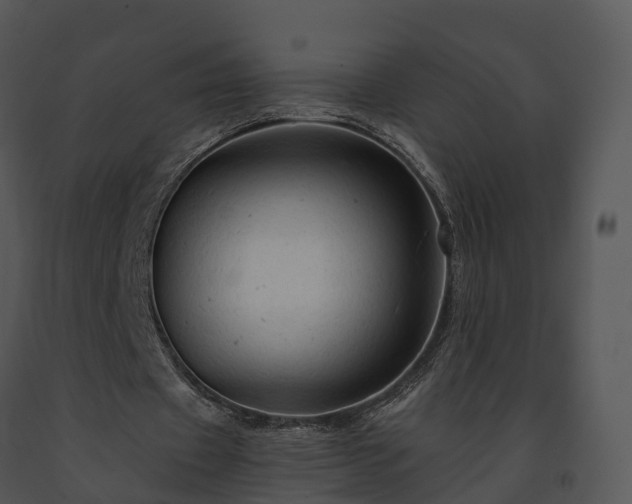X0000091690433200708301543