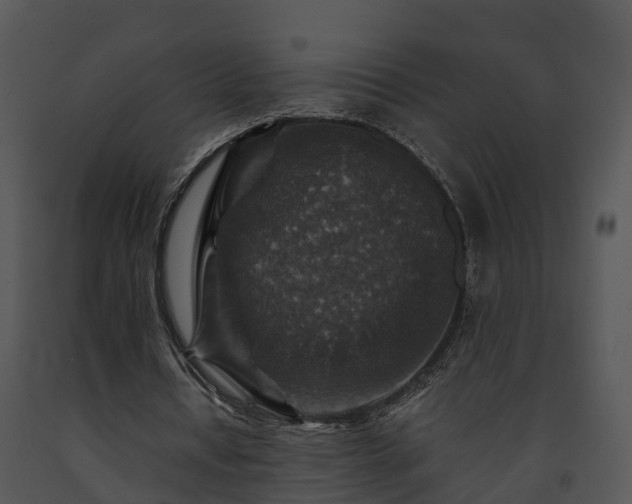 X0000091690434200708301543
