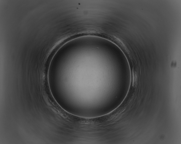 X0000091690435200708301543