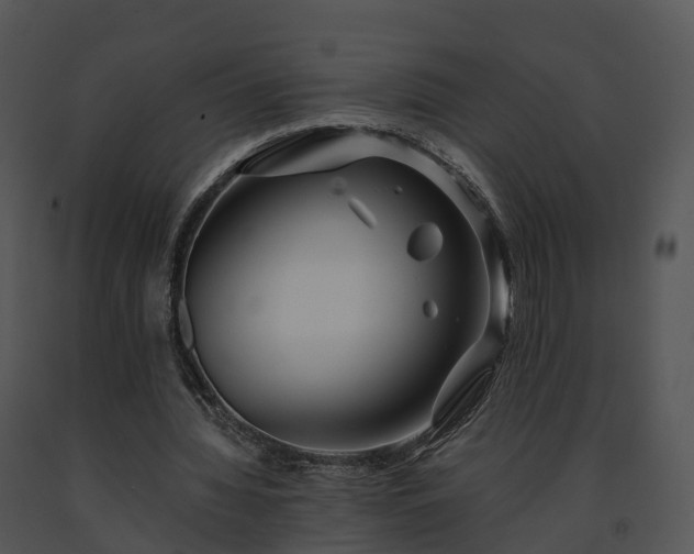 X0000091690436200708301543