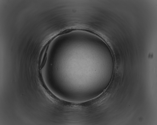 X0000091690437200708301543