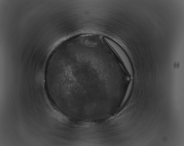 X0000091690438200708301543