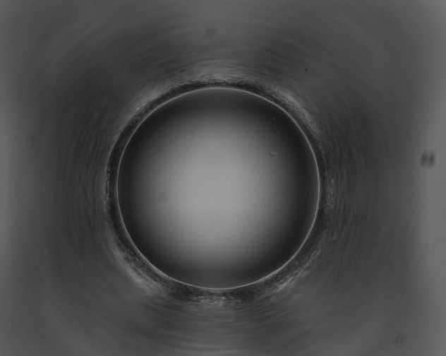 X0000091690439200708301543