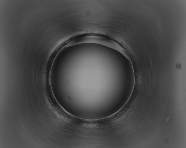 X0000091690440200708301543