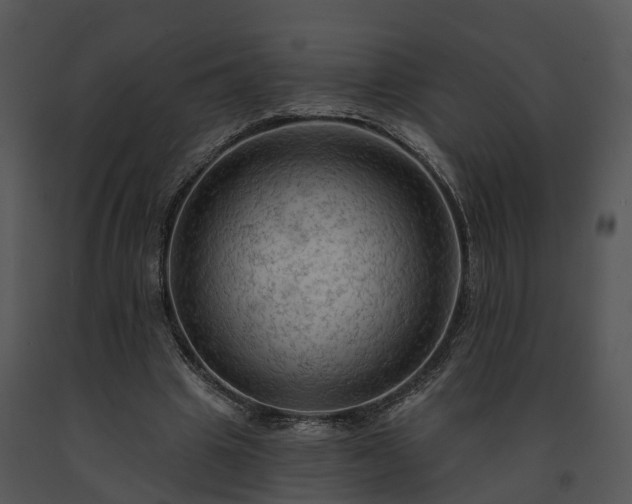 X0000091690441200708301543