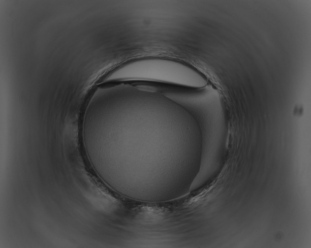 X0000091690442200708301543