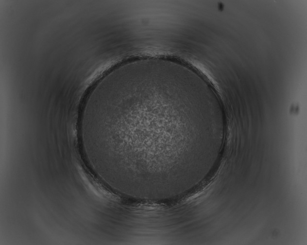 X0000091690443200708301543