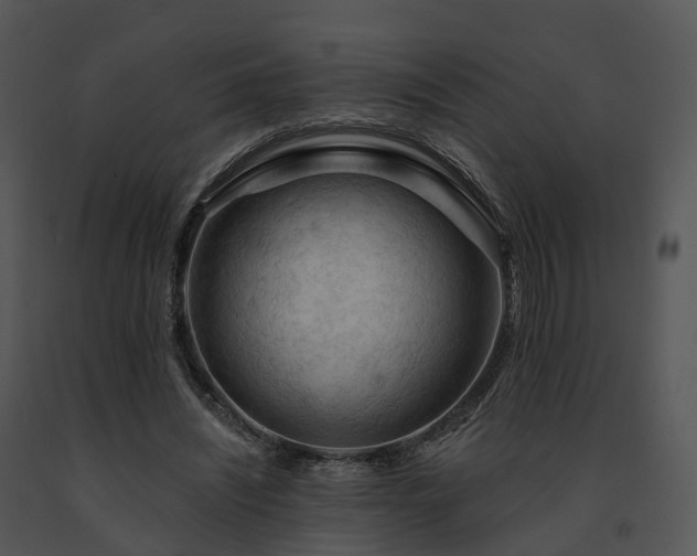X0000091690444200708301543