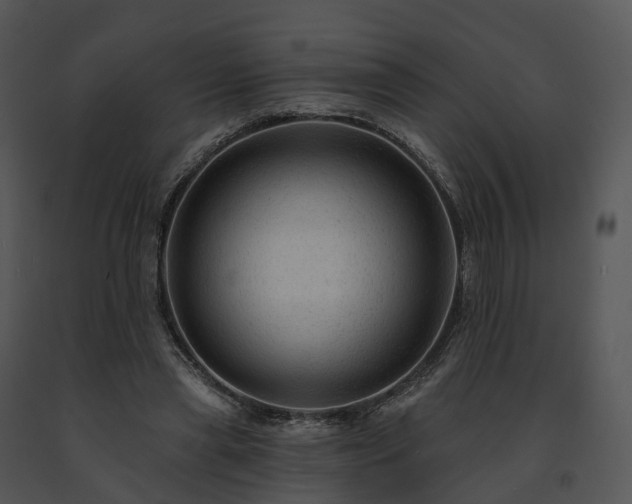X0000091690445200708301543