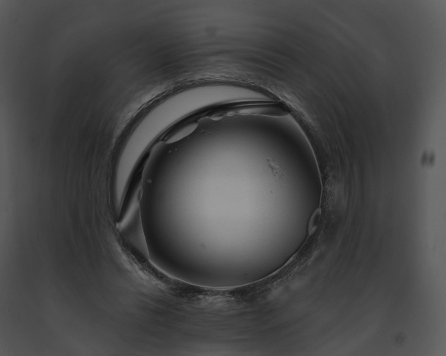X0000091690446200708301543