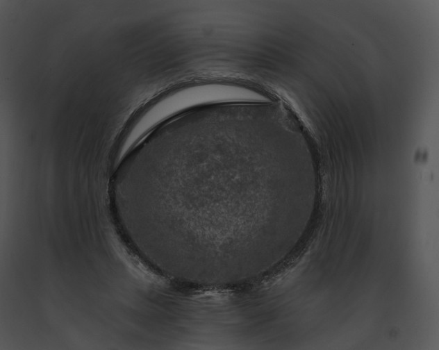 X0000091690447200708301543