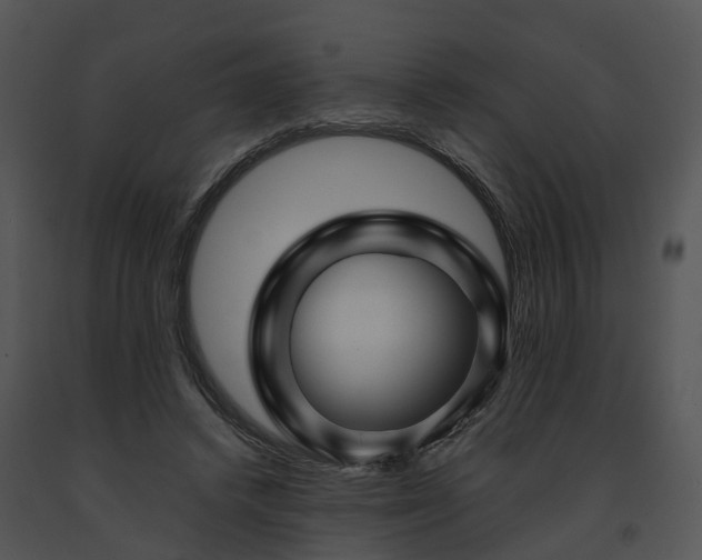 X0000091690448200708301543