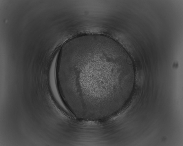 X0000091690449200708301543