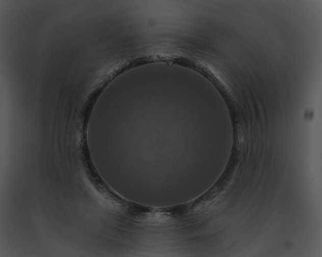X0000091690451200708301543