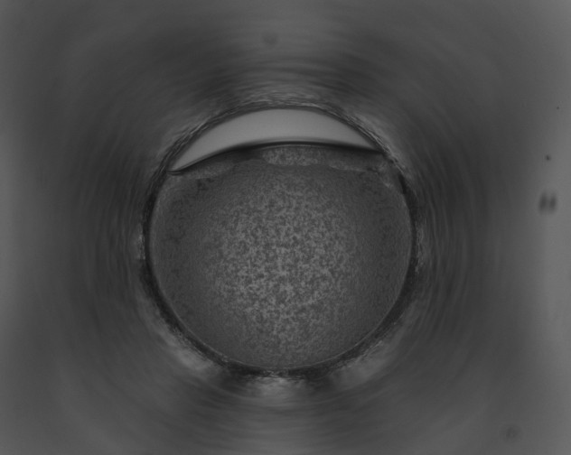 X0000091690453200708301543