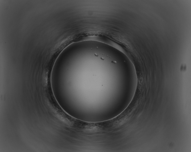 X0000091690454200708301543