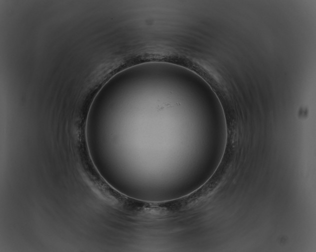 X0000091690455200708301543