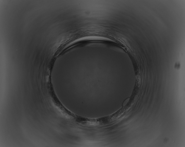 X0000091690458200708301544