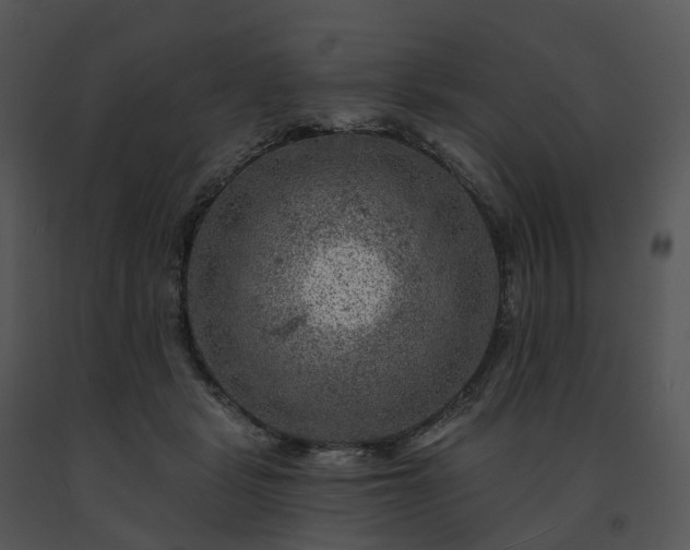 X0000091690461200708301544