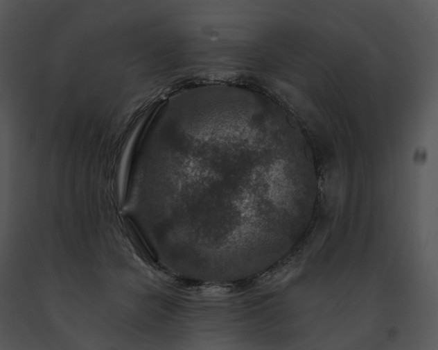 X0000091690462200708301544