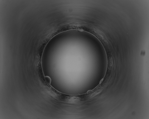 X0000091690463200708301544